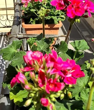 Apartman A Due Passi Dal Porto